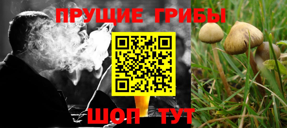 Гуково  Галлюциногенные грибы Magic Shrooms  Вход с VPN 
